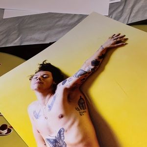 Harry Styles Fine Line Vinyl